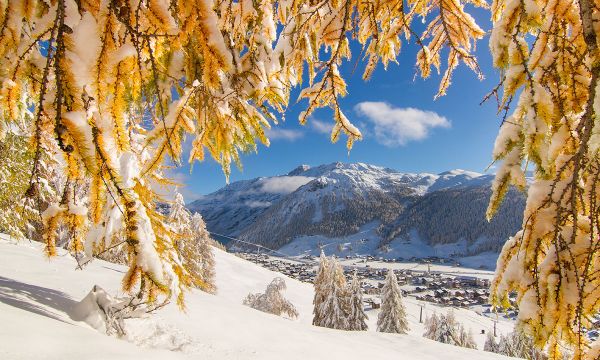 Livigno: sport & wellness 