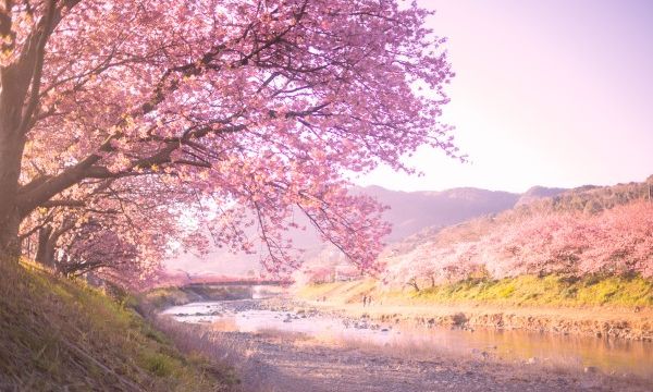 Romantische winter in Japan: de perfecte honeymoon bestemming!