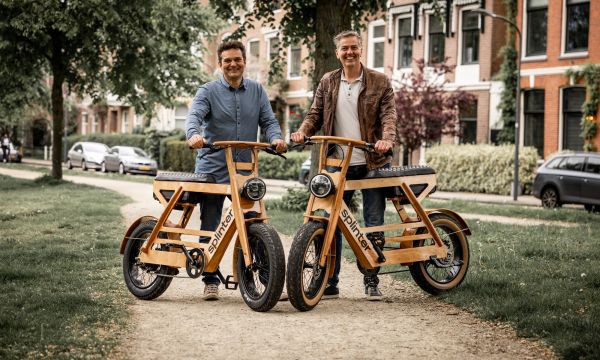 Houten elektrische fietsen