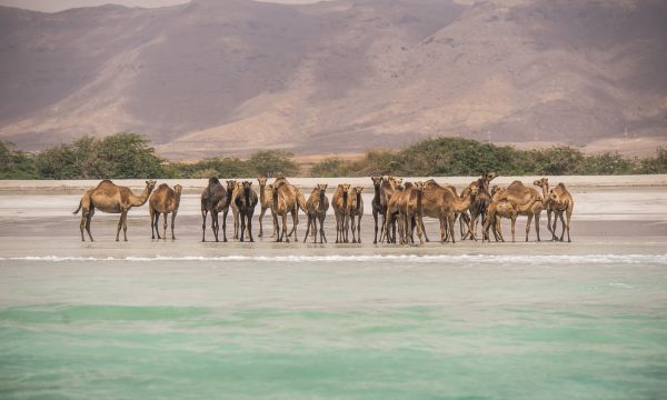 Op avontuur in Oman