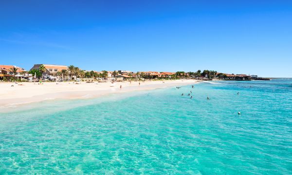 Vijf sterren in de zon