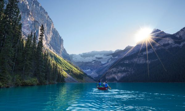 Ongerept Canada